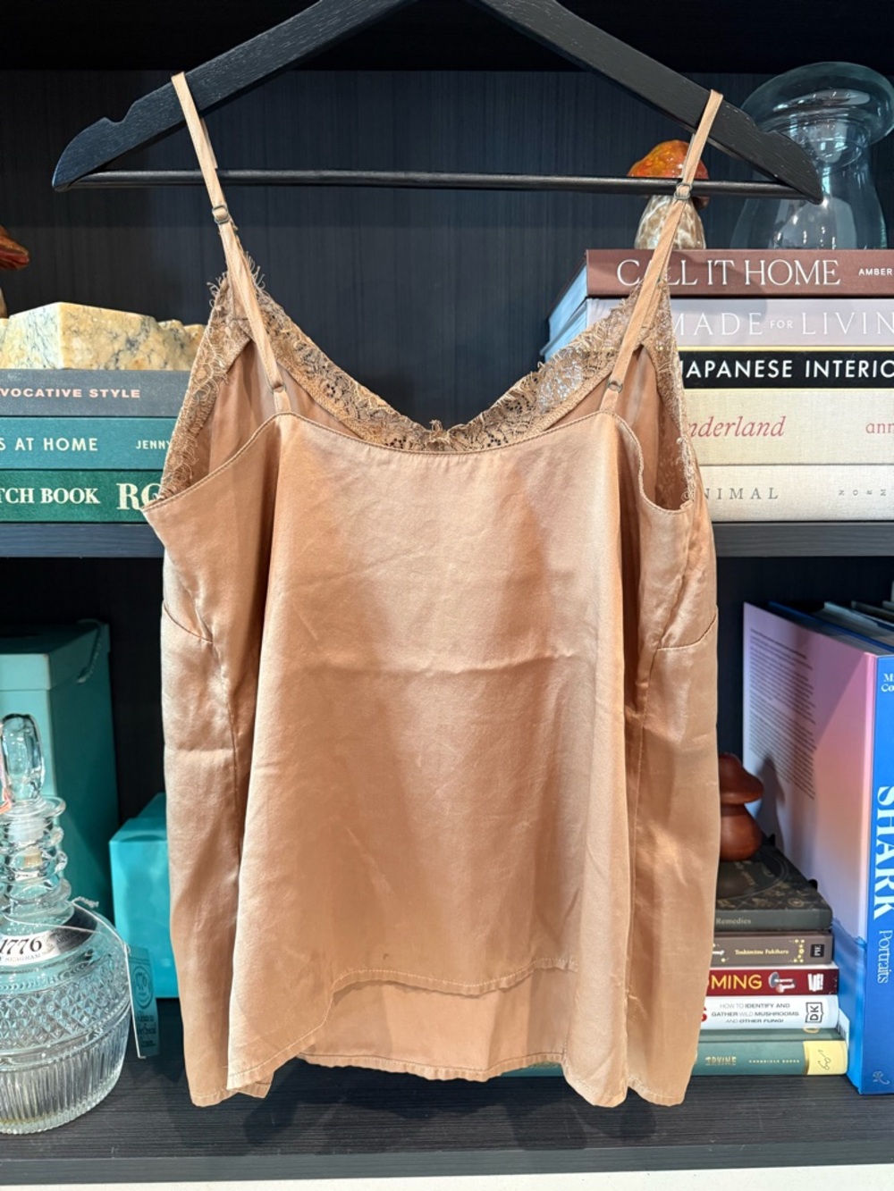 Anine Bing 100% Silk Camisole in Color Toast Size XS - Picture 5 of 10